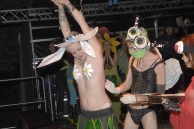 Flying High Tribe Show